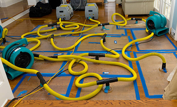 Professional Burst Pipe Water Damage technician working in Bernardsville, NJ
